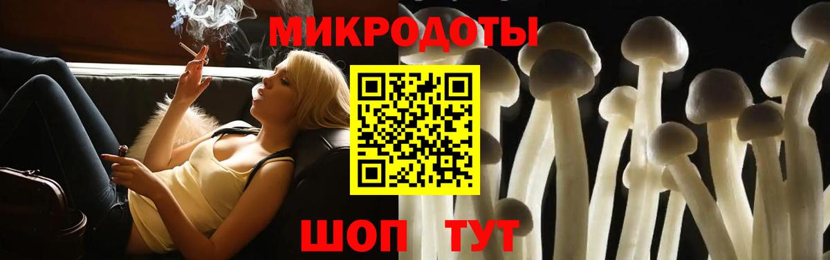 Псилоцибиновые грибы Psilocybe Барабинск
